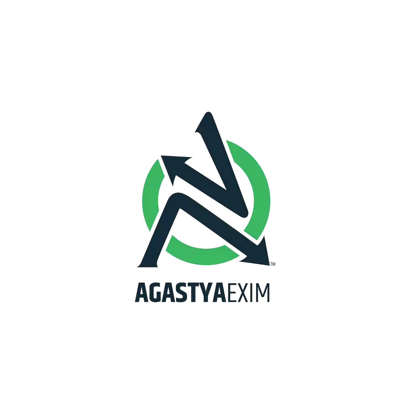 Agastya Exim Private Limited Logo