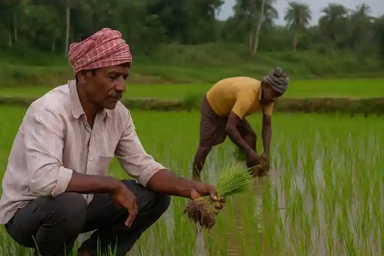 Ethical and Sustainable Agro Sourcing - Agastya Exim