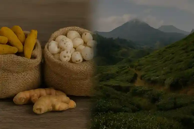 High-quality agro products packaging by Agastya Exim