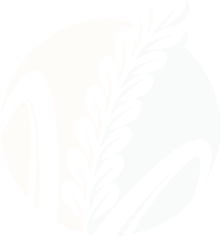 Footer background decorative icon 2