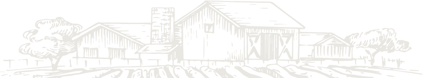 Team section background graphic